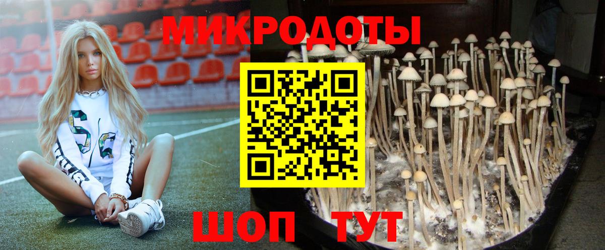 Псилоцибиновые грибы прущие грибы  Вход с VPN  Армавир 